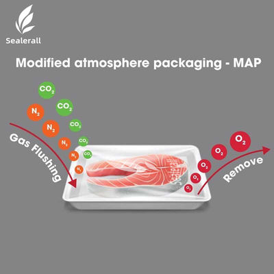 kopen Plastic Box Compact Tray Packing Machine Food Container Sealing Machine online manufacture