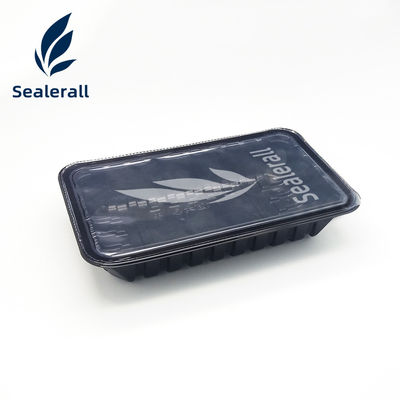 kopen Energie-efficiëntie Plastic Food Container Sealing Machine 2000W Met ruimtebesparend ontwerp online manufacture