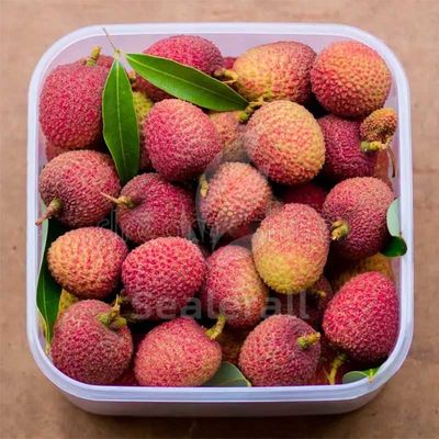 kopen Roestvrijstalen machine voor gemodificeerde atmosfeerverpakking voor verse lychees online vervaardiging