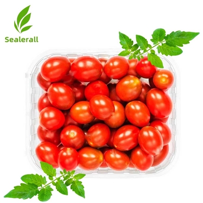 kopen Sealerall MAP Tray Sealer voor Kleine Tomaten 10-12 Pack Trays online vervaardiging